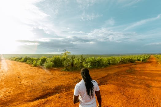 A man walks along a red dirt road amidst lush greenery under a dramatic sunset sky.